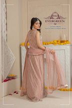 Blush Pink Embroidered Party Wear Gown
