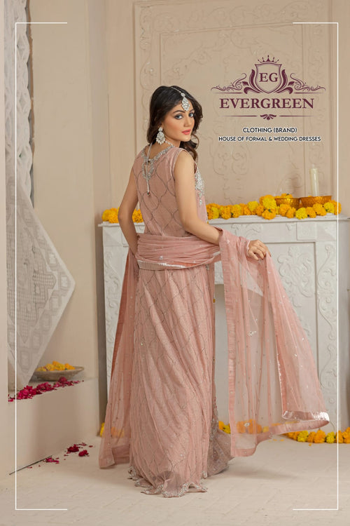 Blush Pink Embroidered Party Wear Gown
